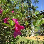 Casa Grande Em Ubatuba Perto Do Mar