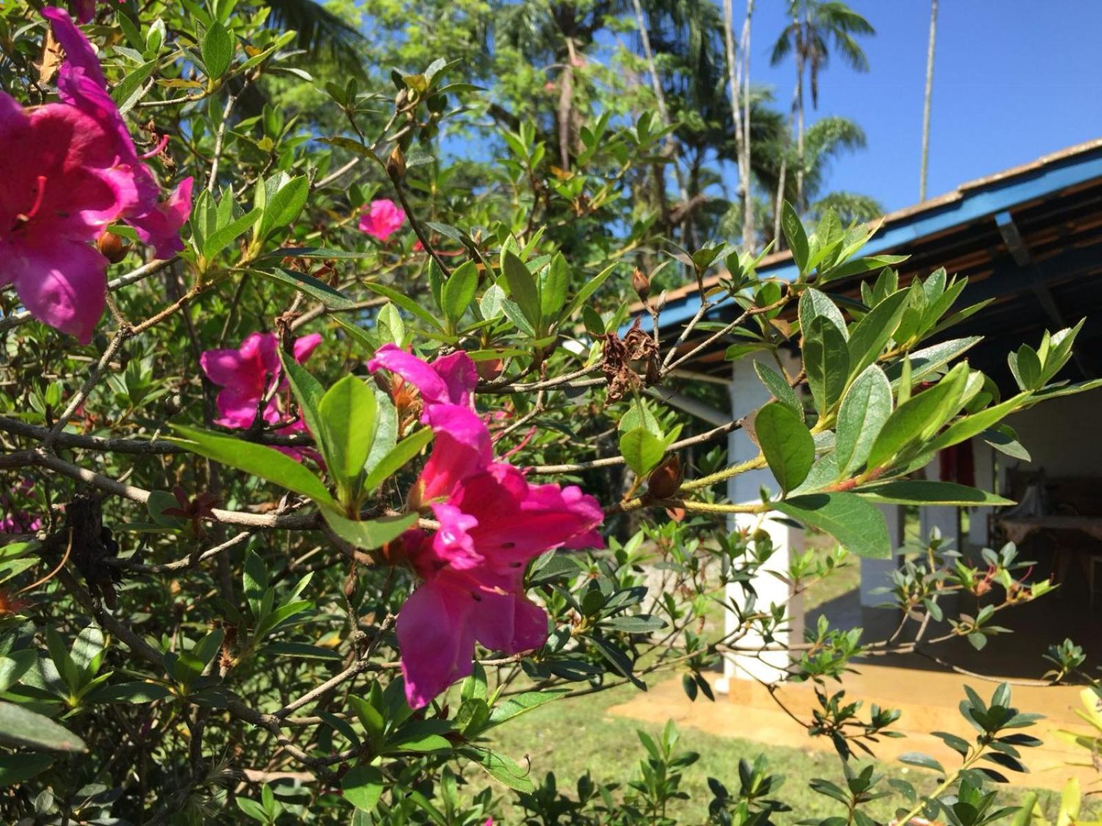 Casa de férias Casa Grande Em Perto Do Mar Ubatuba